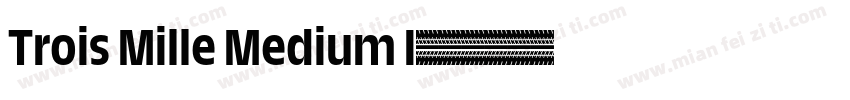 Trois Mille Medium I字体转换